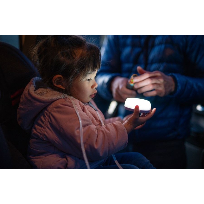 Ledlenser KIDCAMP6 DINO - fényerőszabályozható hordozható LED-lámpa LED/3×AAA IP44 zöld