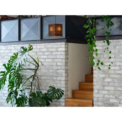 Ledvance - Csillár zsinóron DECOR CARDBOARD 1xE27/15W/230V 25x25 cm