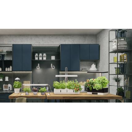 Ledvance - LED állítható fényerejű beltéri növénylámpa GARDEN KIT LED/24W/230V