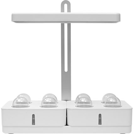 Ledvance - LED beltéri növénylámpa GARDEN KIT LED/24W/230V