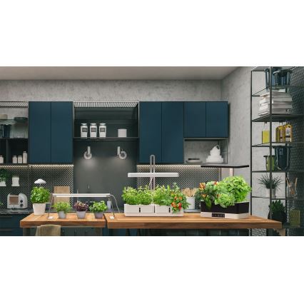 Ledvance - LED beltéri növénylámpa GARDEN KIT LED/24W/230V