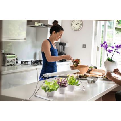 Ledvance - LED beltéri növénylámpa GARDEN LIGHT LED/14W/230V