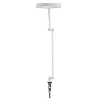 Ledvance - LED Dimmelhető lámpa csipeszes SUN@HOME LED/15W/230V 2200-5000K CRI 95 Wi-Fi