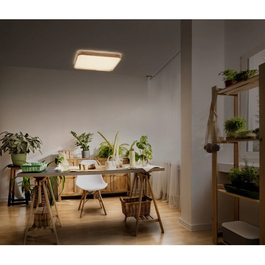 Ledvance - LED dimmelhető mennyezeti lámpa ORBIS LED/16W/230V 3000K 29x29 cm