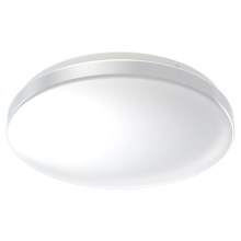 Ledvance - LED Fürdőszobai mennyezeti lámpa CEILING ROUND LED/24W/230V 6500K IP44