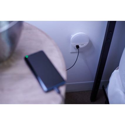Ledvance - LED konnektoros éjszakai lámpa érzékelővel LUNETTA 2xUSB LED/13W/230V