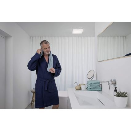 Ledvance - LED Mennyezeti lámpa LUNIVE LED/19W/230V