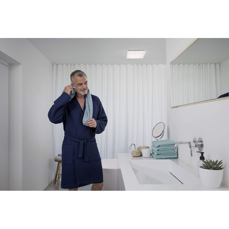 Ledvance - LED Mennyezeti lámpa LUNIVE LED/19W/230V