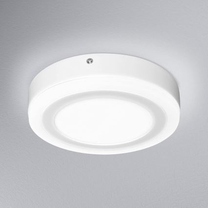 Ledvance - LED Mennyezeti lámpa ROUND LED/15W/230V á. 20 cm