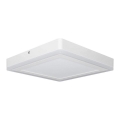 Ledvance - LED Mennyezeti lámpa SQUARE LED/18W/230V