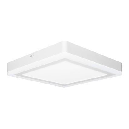 Ledvance - LED Mennyezeti lámpa SQUARE LED/18W/230V