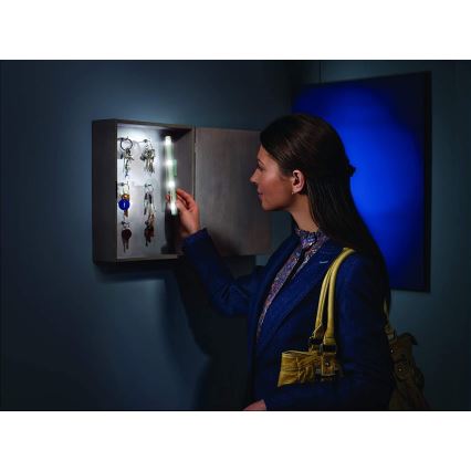 Ledvance - LED Tájékozódási lámpa LUMISTIXX 4xLED/0,6W/4,5V