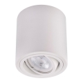 Ledvance - Spotlámpa TUBA 1xGU10/50W/230V