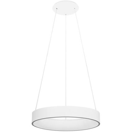 Ledvance - SUN@HOME CIRCULAR LED/18,5W/230V Wi-Fi feszültségszabályozható mennyezeti lámpa kábelre