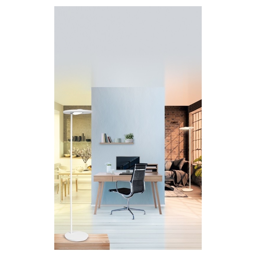 Ledvance - LED állítható fényerejű állólámpa SUN@HOME LED/36W/230V 2200-5000K CRI 95 Wi-Fi