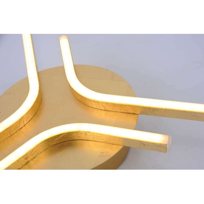 Paul Neuhaus 11323-12 - LED Csillár GREGOR 3xLED/6W/230V