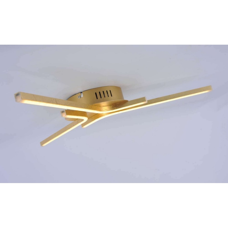 Paul Neuhaus 11323-12 - LED Csillár GREGOR 3xLED/6W/230V