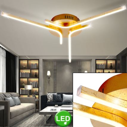 Paul Neuhaus 11323-12 - LED Csillár GREGOR 3xLED/6W/230V