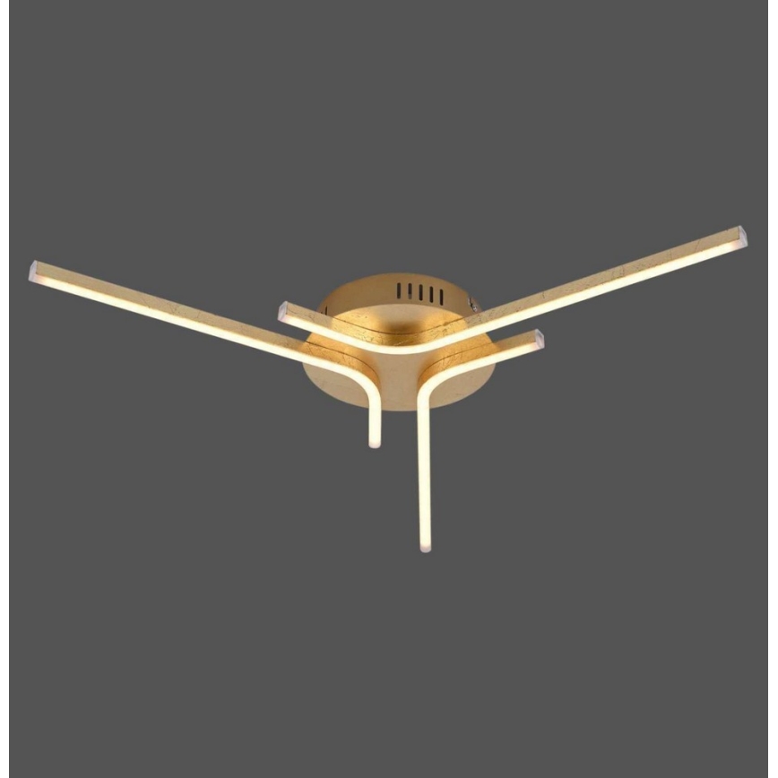 Paul Neuhaus 11323-12 - LED Csillár GREGOR 3xLED/6W/230V