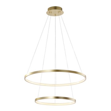 Leuchten Direkt 11525-12 -LED Csillár zsinóron CIRCLE LED/18,5W/230V + LED/23,5W