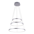 Leuchten Direkt 11526-55 - Dimmelhető LED kábeles csillár CIRCLE LED/13,5W/230V + LED/19,5W + LED/24W