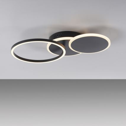 Leuchten Direkt 14116-18 - LED Mennyezeti lámpa SEVENT LED/25,5W/230V fekete