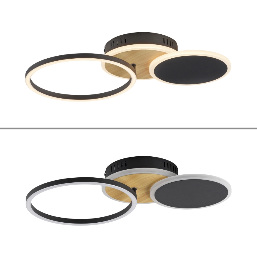 Leuchten Direkt 14116-78 - LED Mennyezeti lámpa SEVENT LED/25,5W/230V fekete/barna