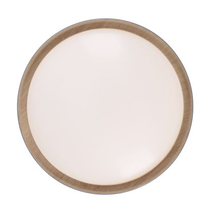 Leuchten Direkt 14347-15 - LED dimmelhető mennyezeti lámpa EMILIA LED/28,8W/230V szürke