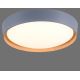 Leuchten Direkt 14347-15 - LED Mennyezeti lámpa EMILIA LED/28,8W/230V szürke