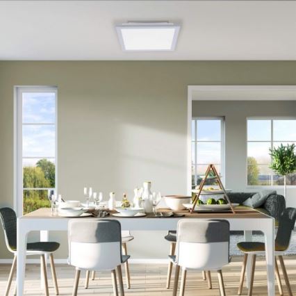 Leuchten Direkt 14750-21 - LED Mennyezeti lámpa FLAT LED/12W/230V