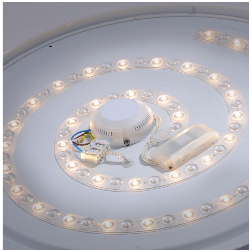 Leuchten Direkt 14822-17 - LED Fürdőszobai mennyezeti lámpa érzékelővel LAVINIA LED/40W/230V IP44