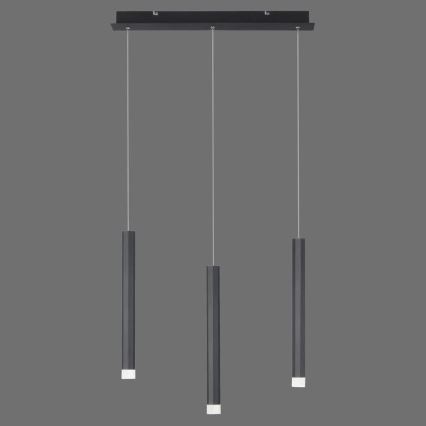 Leuchten Direkt 15203-18 - LED Csillár zsinóron 3xLED/4,8W/230V fekete