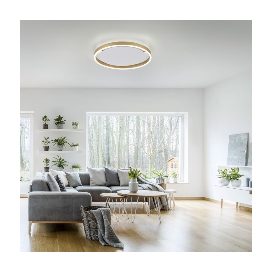 Leuchten Direkt 15392-60 - LED Dimmelhető mennyezeti lámpa RITUS LED/30W/230V sárgaréz