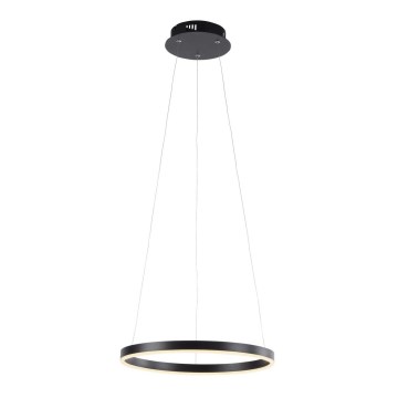 Leuchten Direkt 15393-13 - LED dimmelhető, kábelre függesztett csillár RITUS LED/23,5W/230V fekete