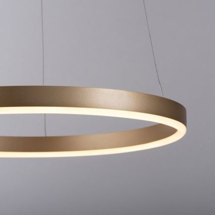 Leuchten Direkt 15393-60 - LED Dimmelhető csillár zsinóron RITUS LED/20W/230V