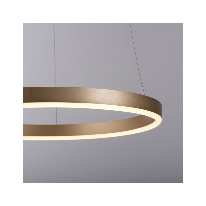 Leuchten Direkt 15393-60 - LED Dimmelhető csillár zsinóron RITUS LED/20W/230V