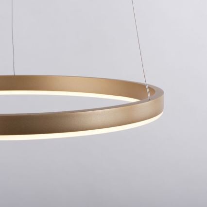 Leuchten Direkt 15393-60 - LED Dimmelhető csillár zsinóron RITUS LED/20W/230V