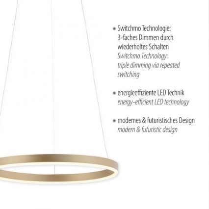 Leuchten Direkt 15393-60 - LED Dimmelhető csillár zsinóron RITUS LED/20W/230V