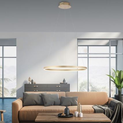 Leuchten Direkt 15394-60 - LED Dimmelhető csillár zsinóron RITUS LED/30W/230V sárgaréz