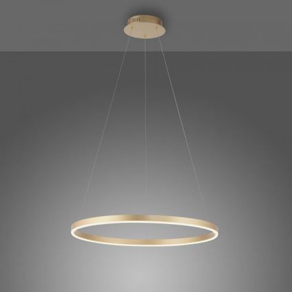 Leuchten Direkt 15394-60 - LED Dimmelhető csillár zsinóron RITUS LED/30W/230V sárgaréz