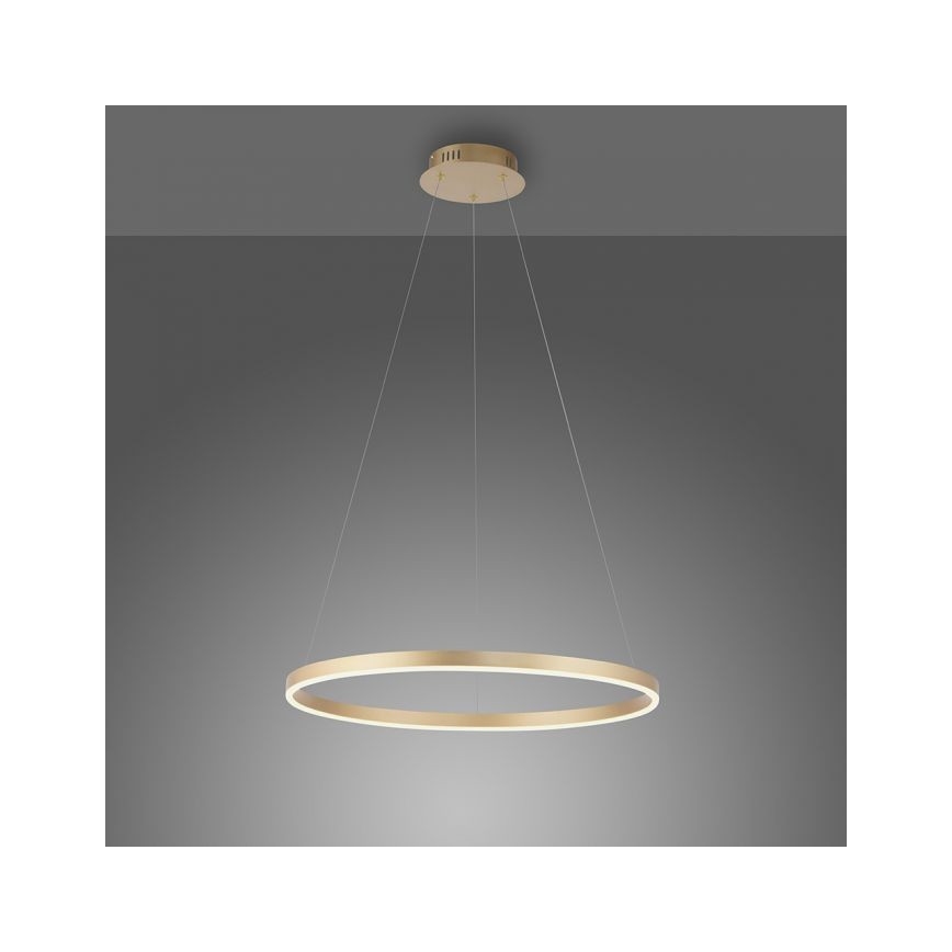 Leuchten Direkt 15394-60 - LED Dimmelhető csillár zsinóron RITUS LED/30W/230V sárgaréz