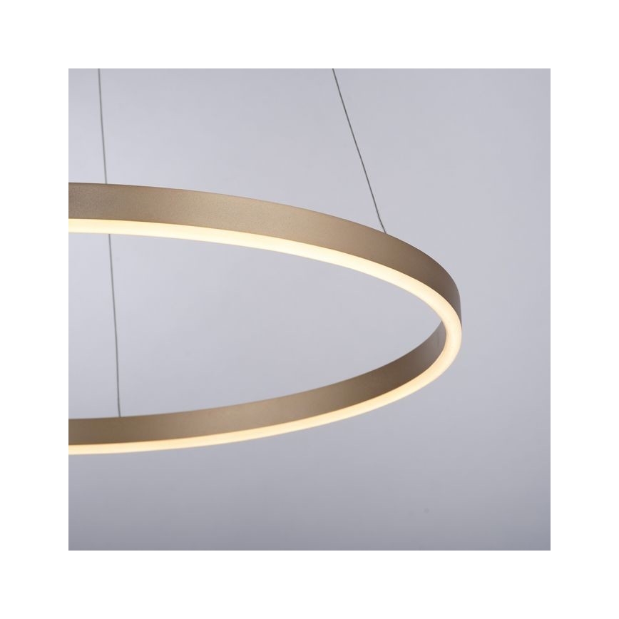 Leuchten Direkt 15394-60 - LED Dimmelhető csillár zsinóron RITUS LED/30W/230V sárgaréz