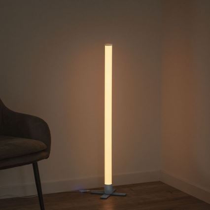 Leuchten Direkt 19902-21 - LED RGB Dimmelhető lámpa RINGO LED/10W/230V+távirányító