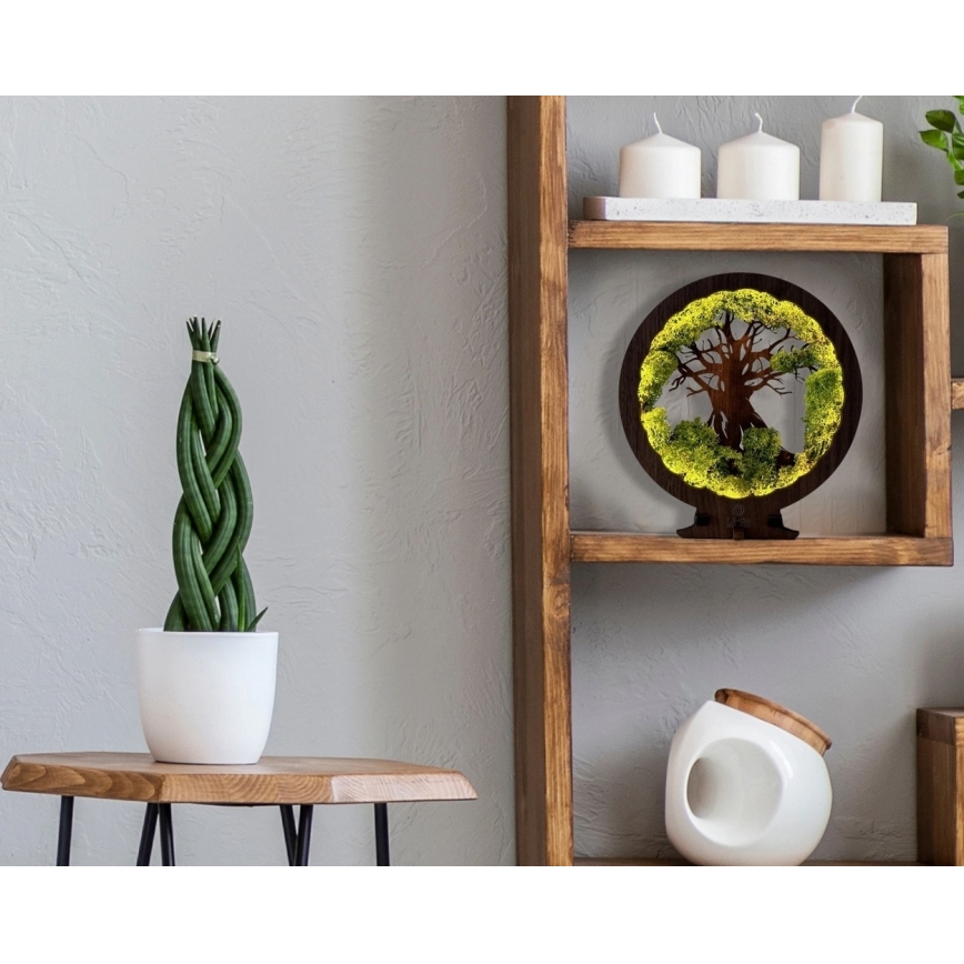 Li-Go 23631/DUB2 - LED fényerőszabályozható asztali dekoráció LED/12W/230V 30x31 cm tölgy/moha és fa