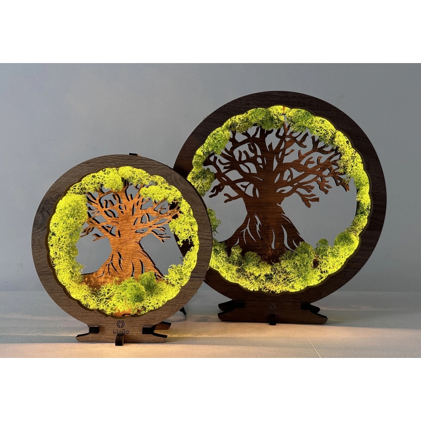 Li-Go 23631/DUB2 - LED fényerőszabályozható asztali dekoráció LED/12W/230V 30x31 cm tölgy/moha és fa