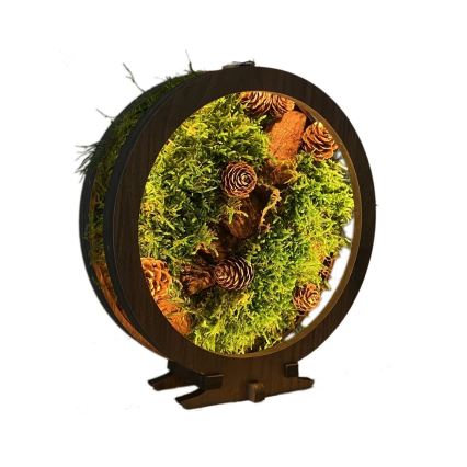 Li-Go 23654 - LED Fényerőszabályozható asztali dekoráció LED/12W/230V 20x22 cm diószínű/Moha csendélet