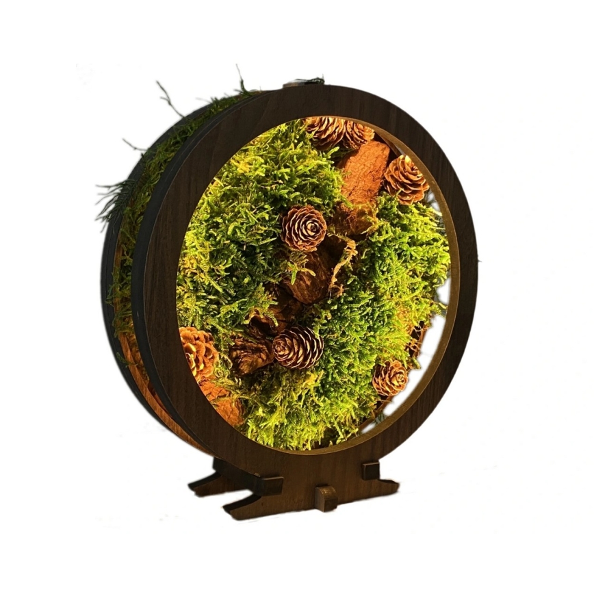 Li-Go 23654 - LED Fényerőszabályozható asztali dekoráció LED/12W/230V 20x22 cm diószínű/Moha csendélet