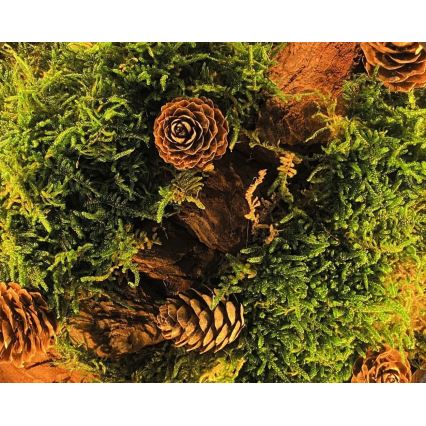 Li-Go 23654 - LED Fényerőszabályozható asztali dekoráció LED/12W/230V 20x22 cm diószínű/Moha csendélet