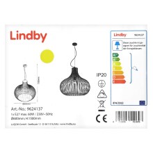Lindby - Csillár zsinóron FRANCES 1xE27/60W/230V