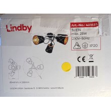 Lindby - Felületre szerelhető csillár SINDRI 3xE14/25W/230V
